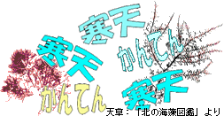 ŷ�𥤥饹��